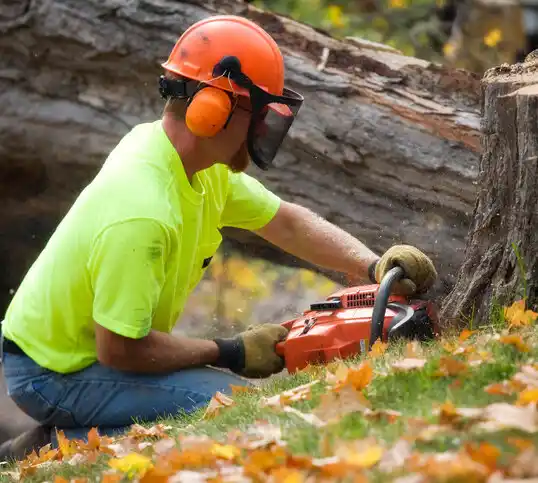 tree services West Ocean City